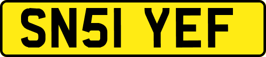 SN51YEF