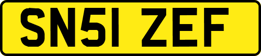 SN51ZEF