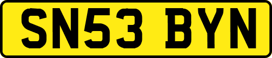 SN53BYN
