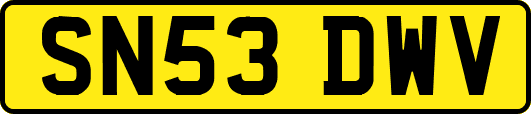 SN53DWV