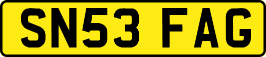 SN53FAG