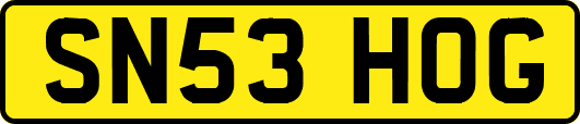 SN53HOG