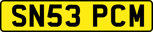 SN53PCM