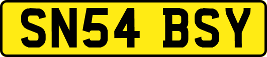 SN54BSY