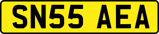 SN55AEA