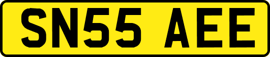 SN55AEE