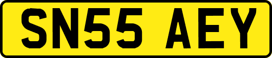 SN55AEY