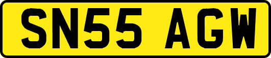 SN55AGW