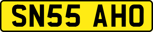 SN55AHO