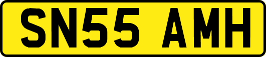 SN55AMH