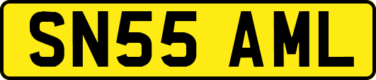 SN55AML