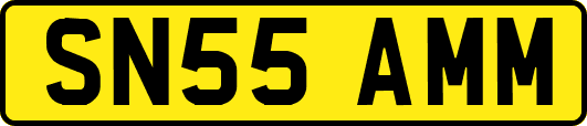 SN55AMM