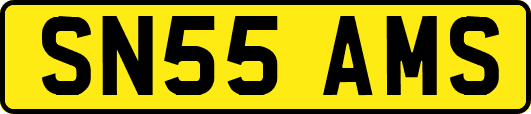 SN55AMS