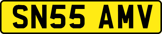 SN55AMV