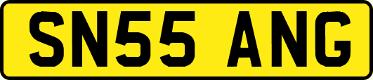 SN55ANG