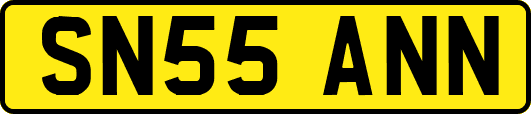 SN55ANN