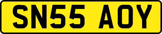 SN55AOY