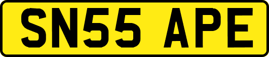 SN55APE