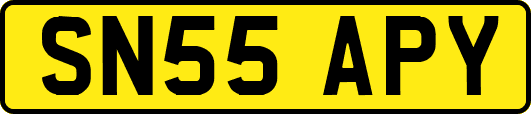 SN55APY