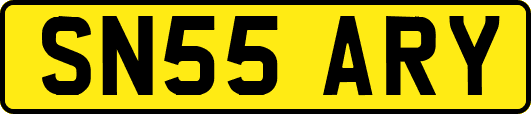 SN55ARY