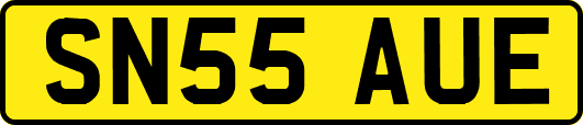 SN55AUE