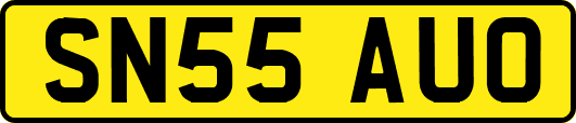 SN55AUO