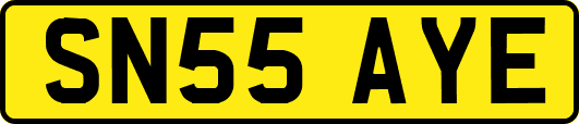 SN55AYE