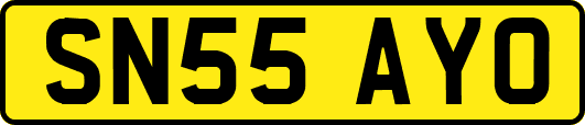 SN55AYO