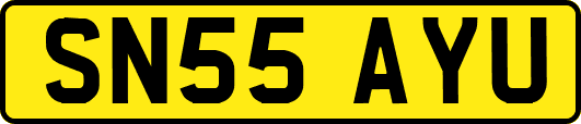 SN55AYU