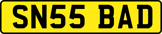 SN55BAD
