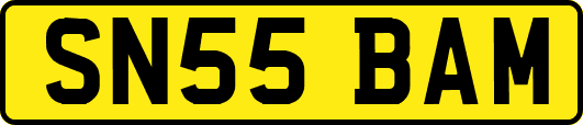 SN55BAM