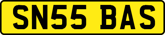 SN55BAS