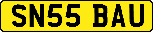 SN55BAU