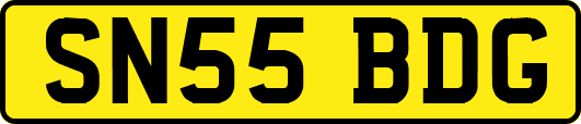 SN55BDG