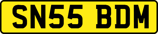 SN55BDM
