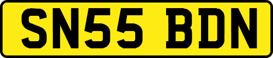 SN55BDN