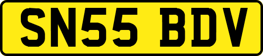 SN55BDV