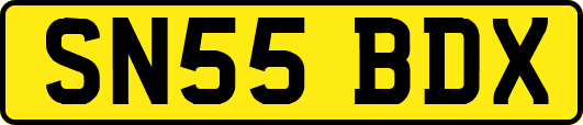 SN55BDX