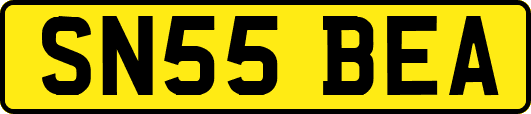 SN55BEA