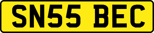 SN55BEC
