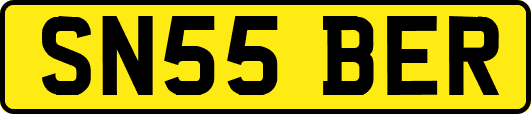 SN55BER