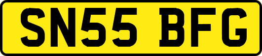 SN55BFG