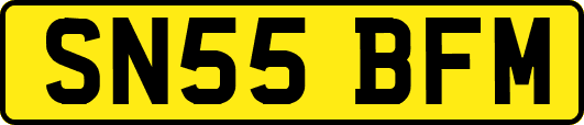 SN55BFM