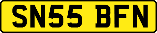 SN55BFN