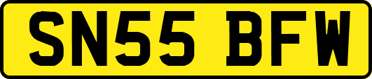SN55BFW