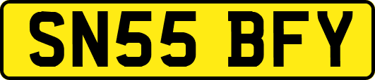 SN55BFY