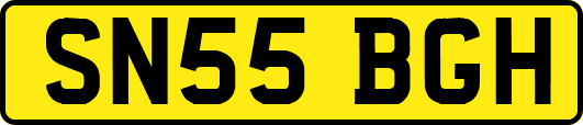 SN55BGH