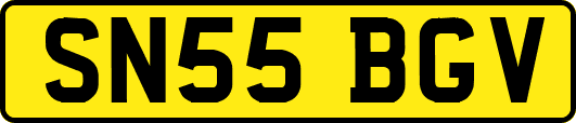 SN55BGV