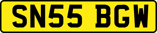 SN55BGW