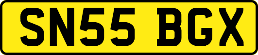 SN55BGX